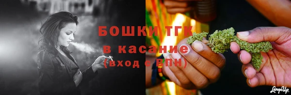 дживик Нягань