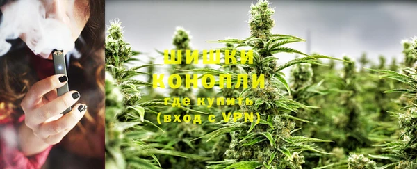 тгк Осташков