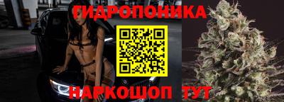 гашик Краснознаменск